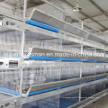 High Quality Automatic H Types Galvanized Steel Layer Poultry Cage
